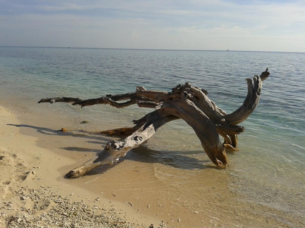 Putri Homestay Gili Meno Exteriér fotografie