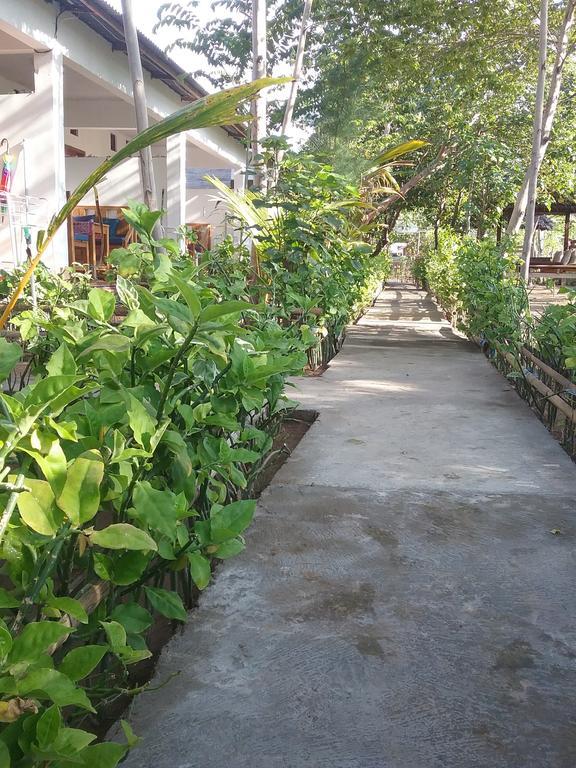 Putri Homestay Gili Meno Exteriér fotografie