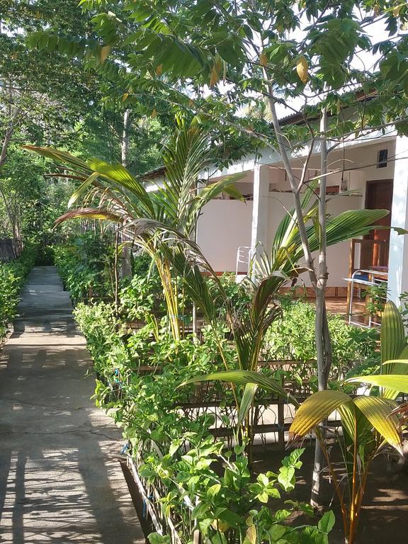 Putri Homestay Gili Meno Exteriér fotografie