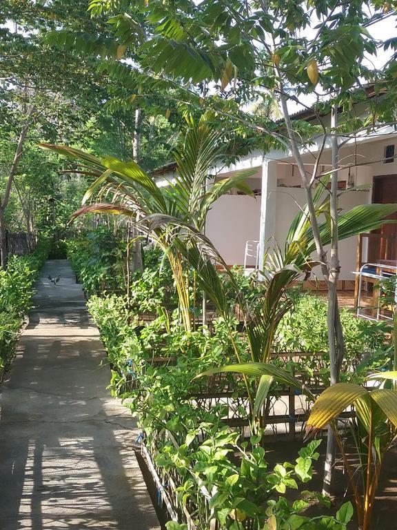 Putri Homestay Gili Meno Exteriér fotografie